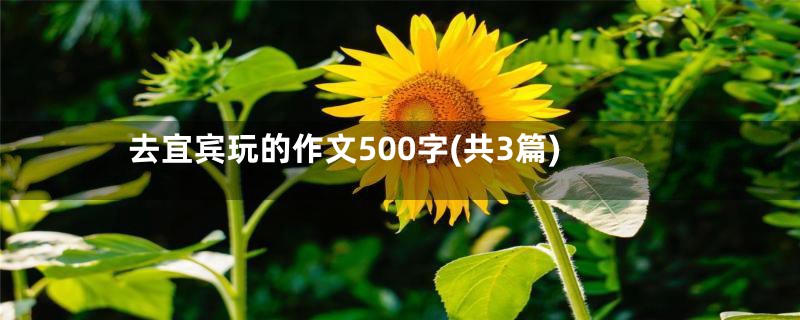 去宜宾玩的作文500字(共3篇)