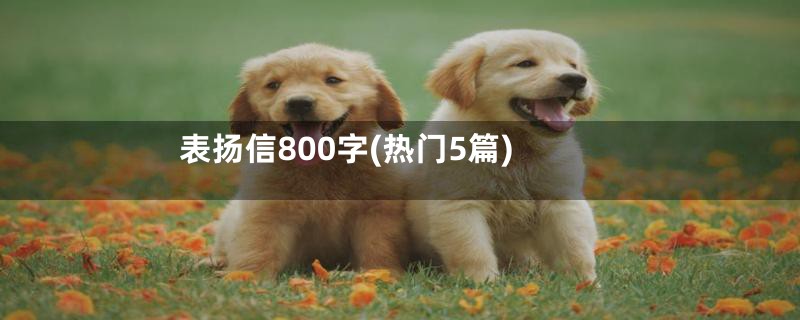 表扬信800字(热门5篇)