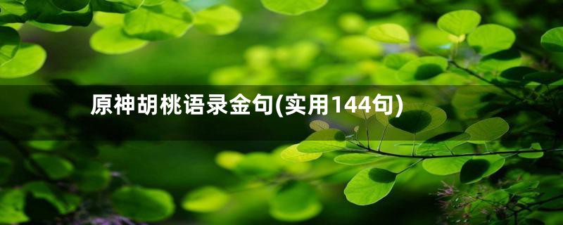 原神胡桃语录金句(实用144句)