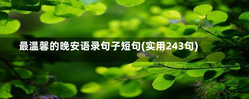 最温馨的晚安语录句子短句(实用243句)