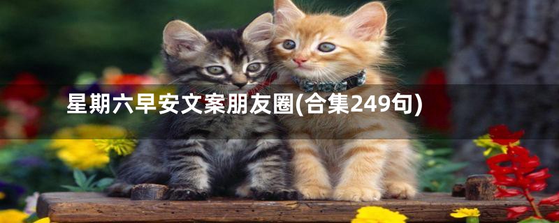 星期六早安文案朋友圈(合集249句)