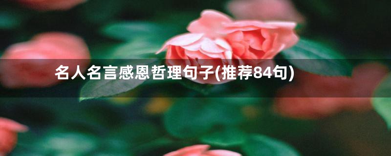 名人名言感恩哲理句子(推荐84句)