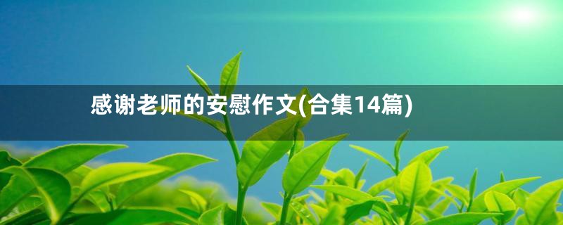 感谢老师的安慰作文(合集14篇)