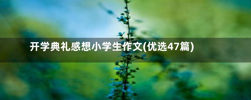 开学典礼感想小学生作文(优选47篇)