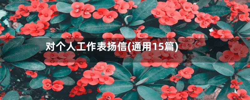 对个人工作表扬信(通用15篇)