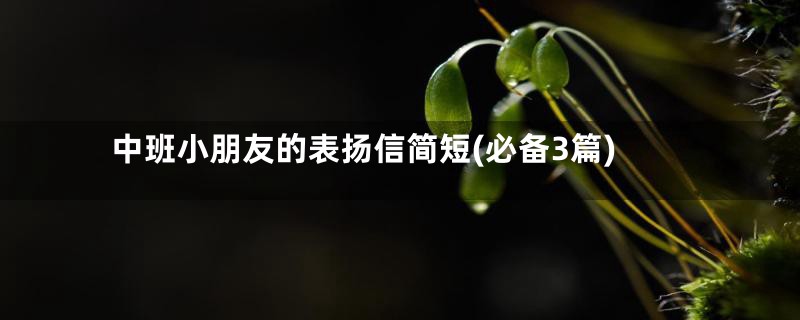 中班小朋友的表扬信简短(必备3篇)