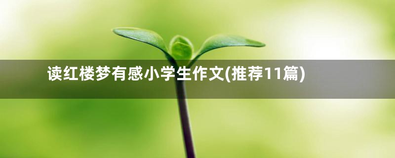 读红楼梦有感小学生作文(推荐11篇)