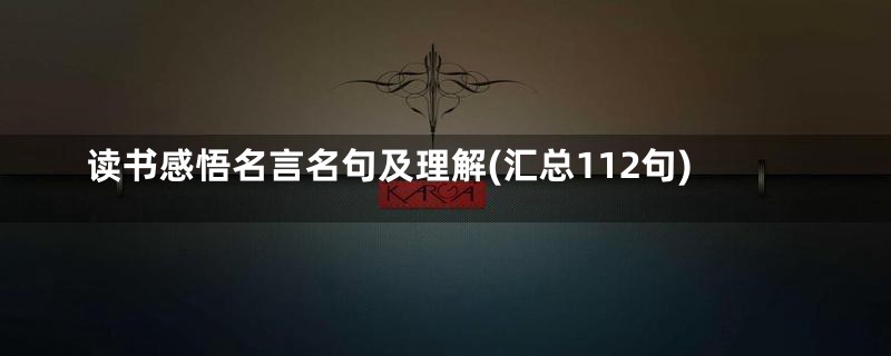 读书感悟名言名句及理解(汇总112句)