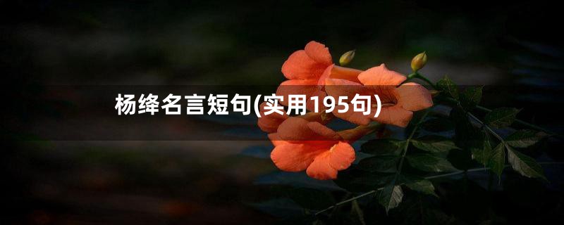 杨绛名言短句(实用195句)