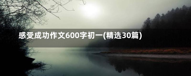 感受成功作文600字初一(精选30篇)