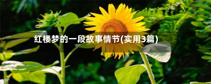 红楼梦的一段故事情节(实用3篇)