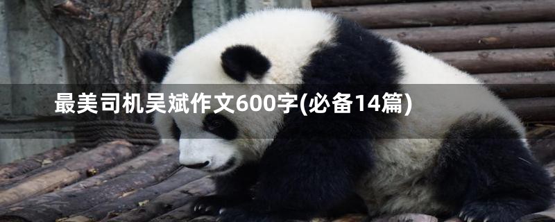 最美司机吴斌作文600字(必备14篇)