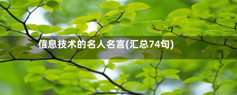 信息技术的名人名言(汇总74句)