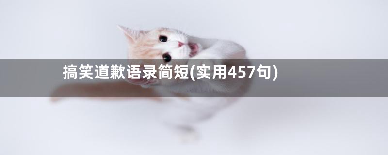 搞笑道歉语录简短(实用457句)