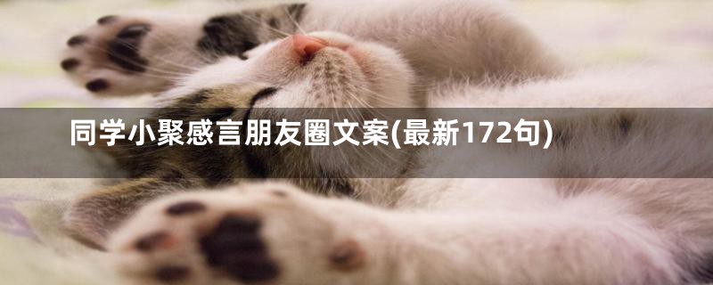 同学小聚感言朋友圈文案(最新172句)