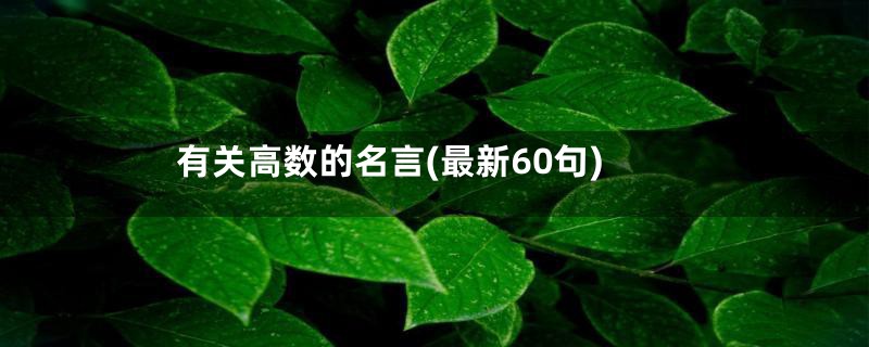 有关高数的名言(最新60句)