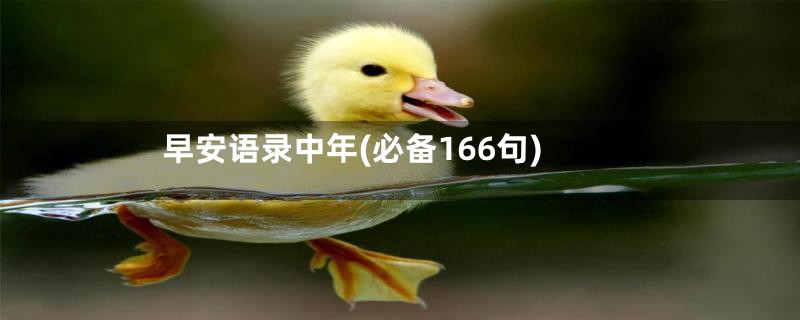 早安语录中年(必备166句)