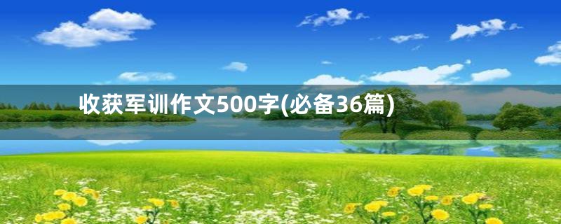 收获军训作文500字(必备36篇)