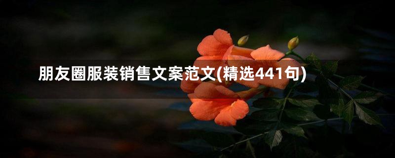 朋友圈服装销售文案范文(精选441句)