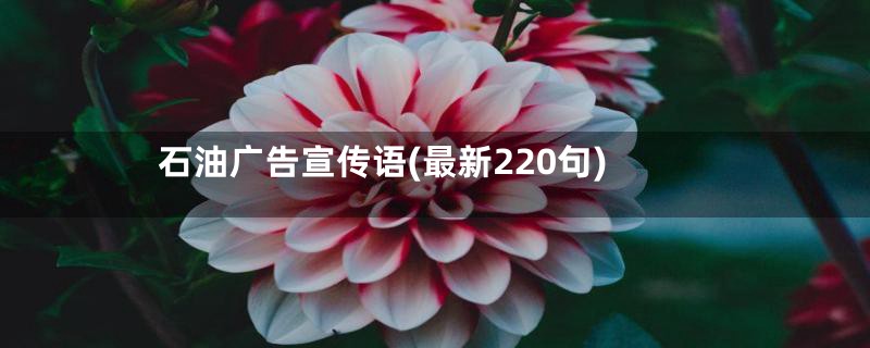 石油广告宣传语(最新220句)