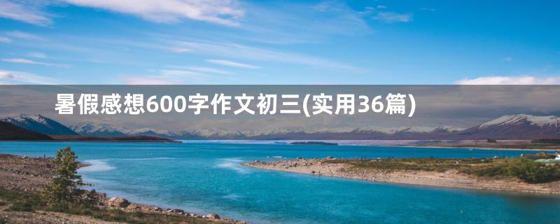 暑假感想600字作文初三(实用36篇)