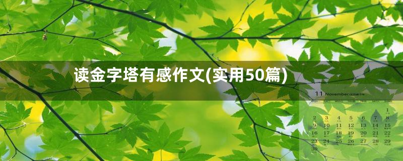 读金字塔有感作文(实用50篇)