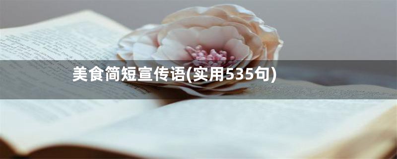 美食简短宣传语(实用535句)