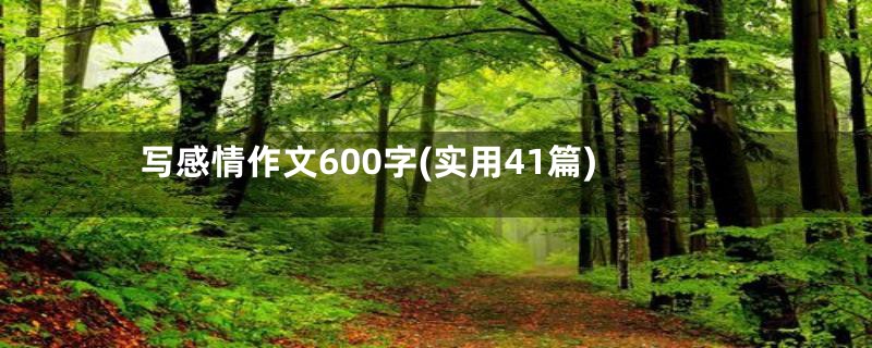 写感情作文600字(实用41篇)