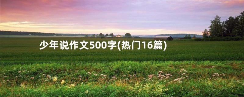 少年说作文500字(热门16篇)