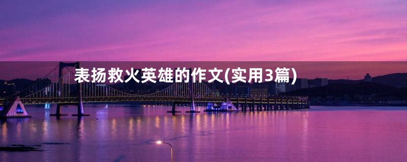 表扬救火英雄的作文(实用3篇)