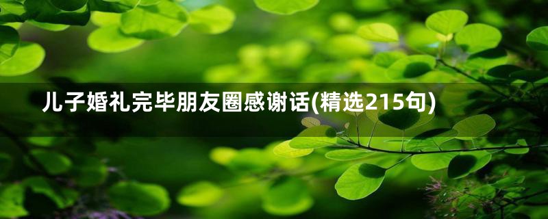 儿子婚礼完毕朋友圈感谢话(精选215句)