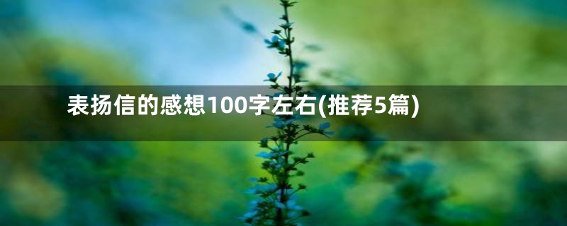 表扬信的感想100字左右(推荐5篇)