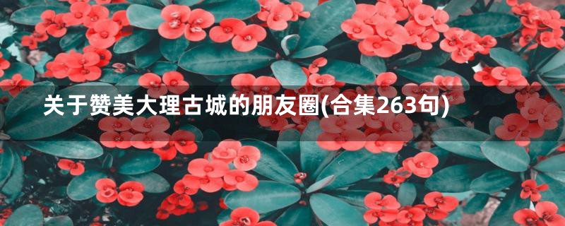 关于赞美大理古城的朋友圈(合集263句)