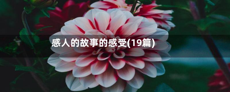 感人的故事的感受(19篇)