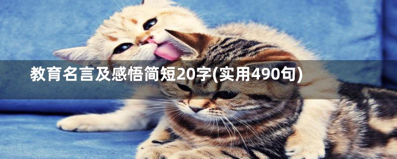 教育名言及感悟简短20字(实用490句)