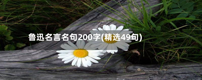 鲁迅名言名句200字(精选49句)