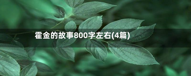 霍金的故事800字左右(4篇)