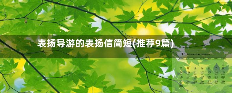 表扬导游的表扬信简短(推荐9篇)