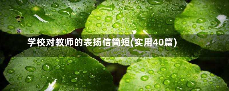 学校对教师的表扬信简短(实用40篇)