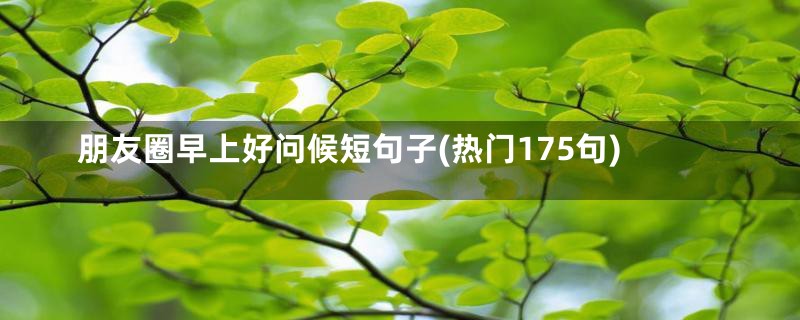 朋友圈早上好问候短句子(热门175句)