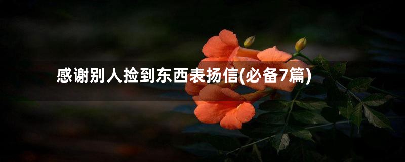 感谢别人捡到东西表扬信(必备7篇)