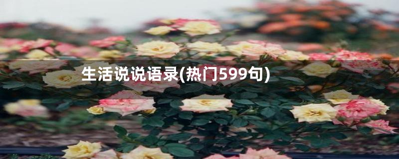 生活说说语录(热门599句)