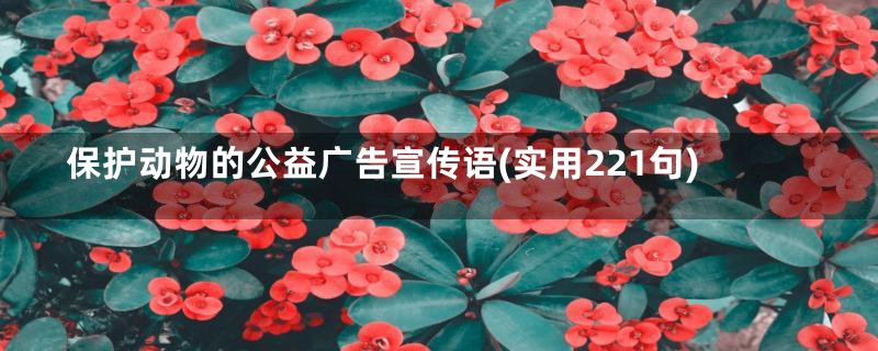 保护动物的公益广告宣传语(实用221句)