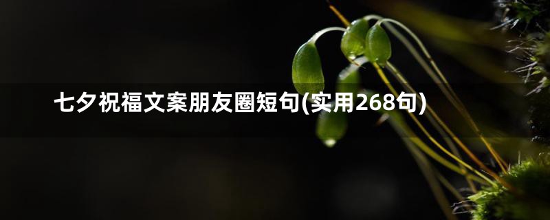 七夕祝福文案朋友圈短句(实用268句)