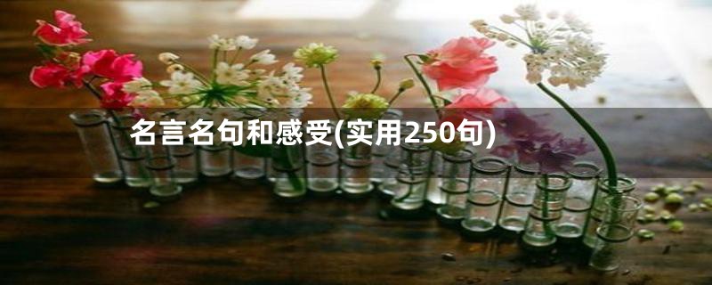 名言名句和感受(实用250句)