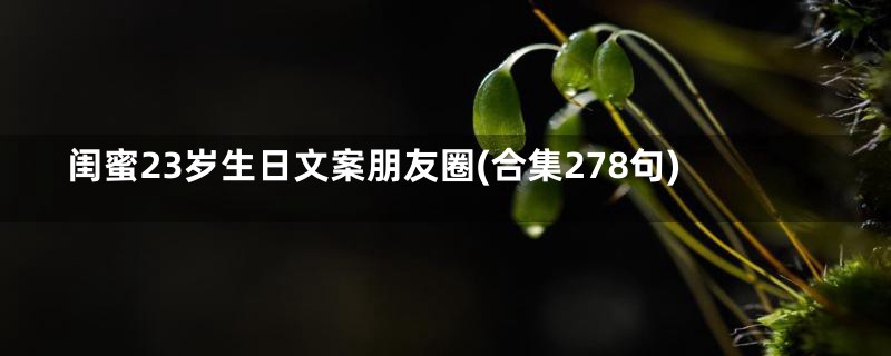 闺蜜23岁生日文案朋友圈(合集278句)