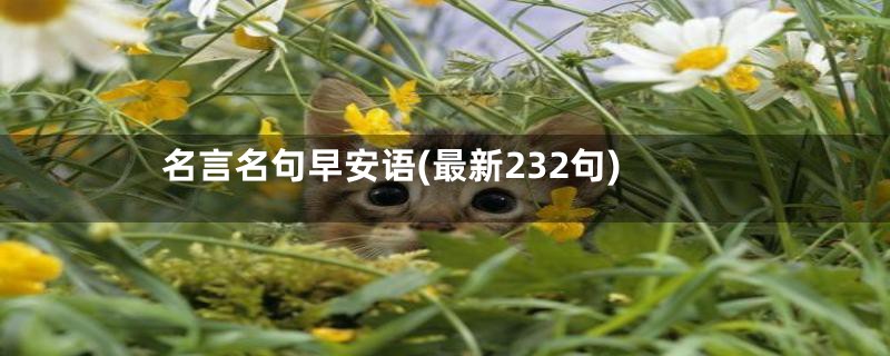 名言名句早安语(最新232句)