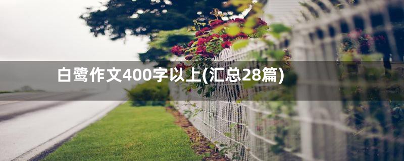 白鹭作文400字以上(汇总28篇)