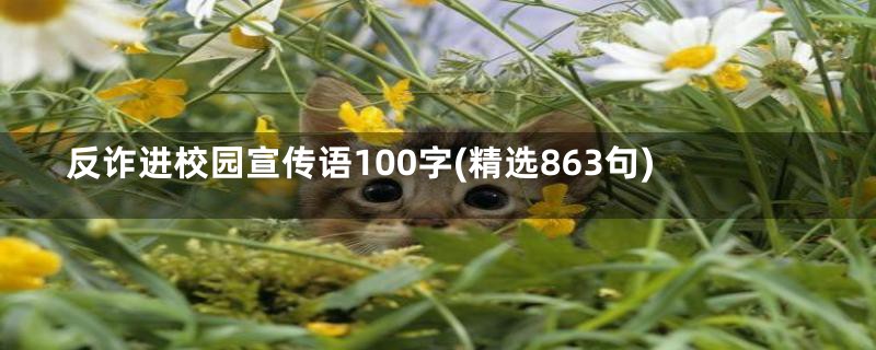 反诈进校园宣传语100字(精选863句)