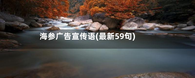 海参广告宣传语(最新59句)